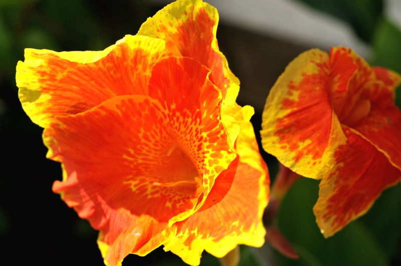 th_DSC_4077