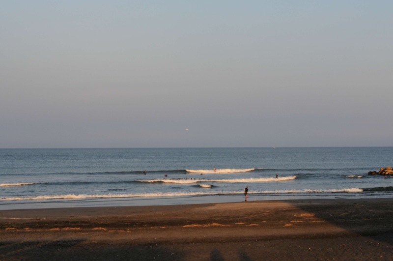 th_DSC_2893