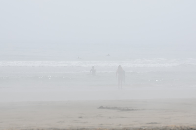th_DSC_3690