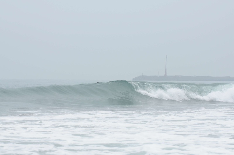 th_DSC_3865