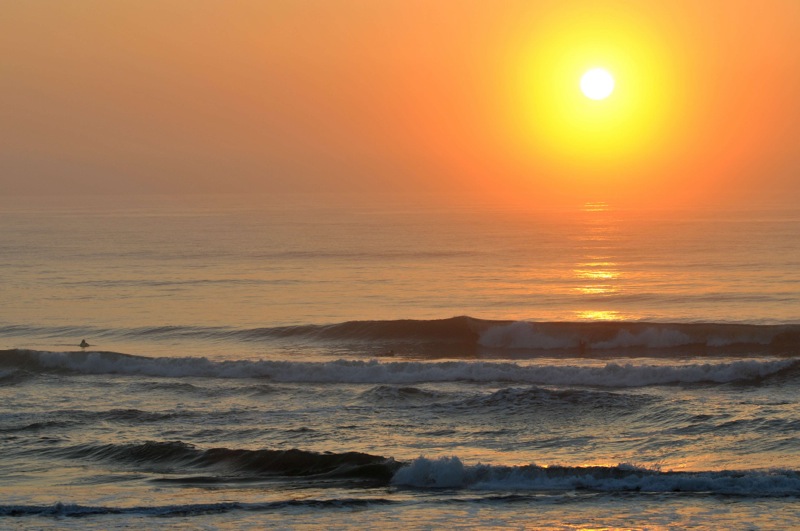 th_DSC_7153