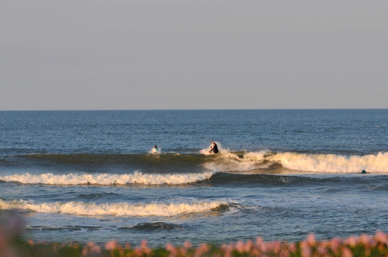 th_DSC_7203
