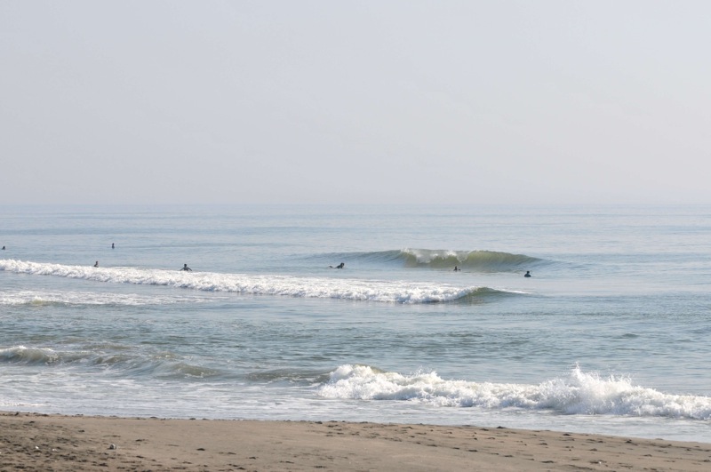 th_DSC_7246