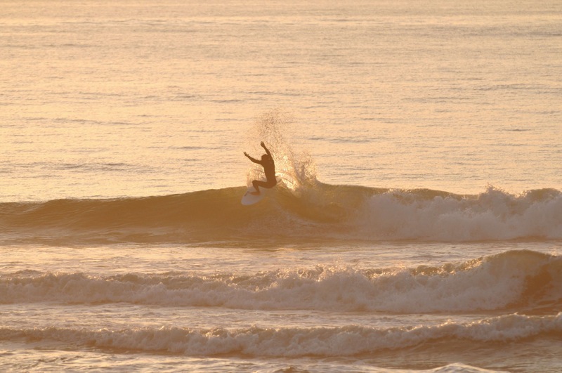 th_DSC_7388