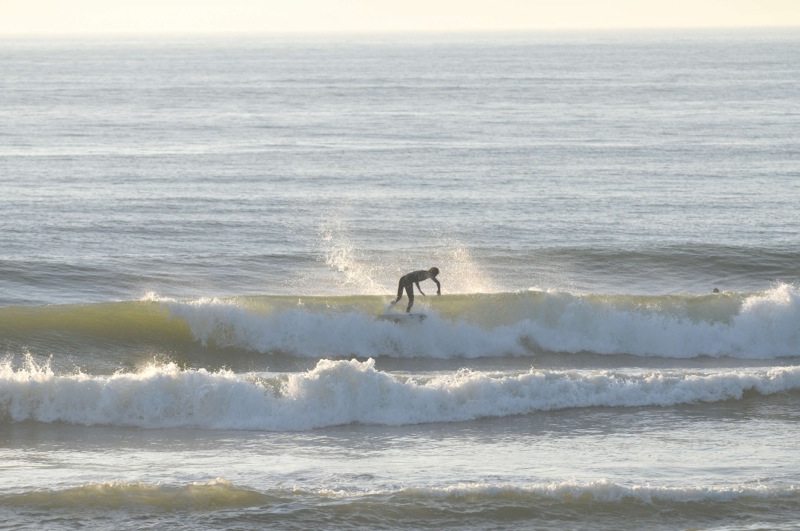 th_DSC_7460