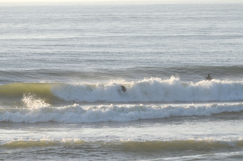 th_DSC_7462