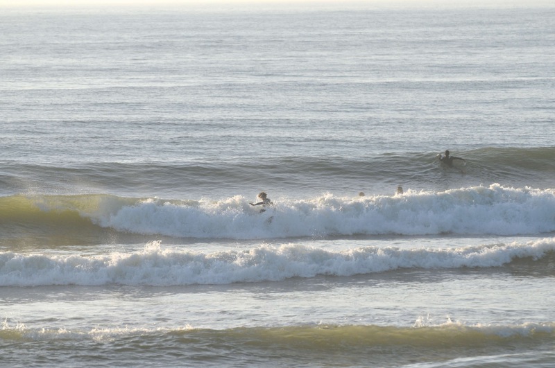 th_DSC_7464