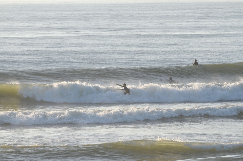 th_DSC_7465