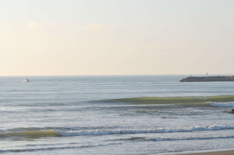 th_DSC_7469