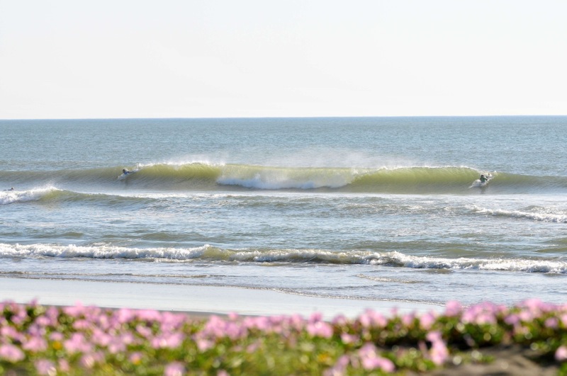 th_DSC_7684