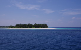 IMGP1212