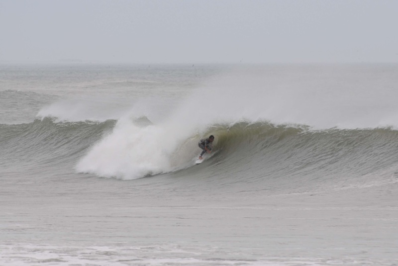 th_DSC_8438