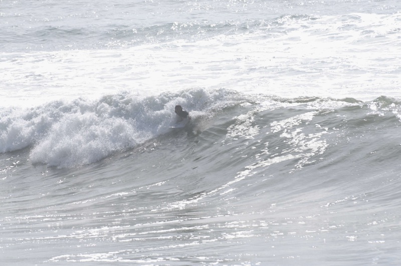 th_DSC_9529