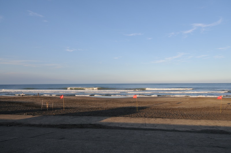 th_DSC_9777