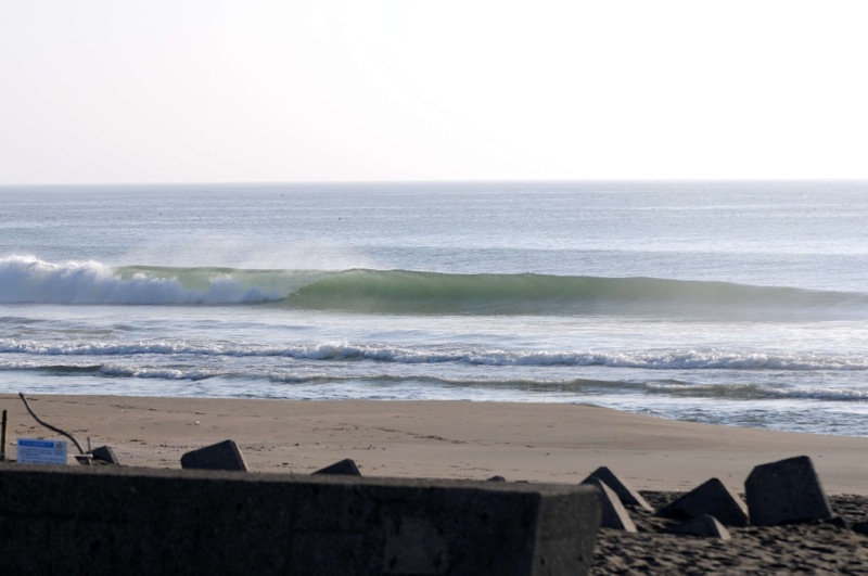 th_DSC_0663