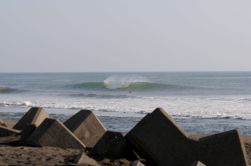 th_DSC_0702