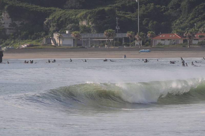 th_DSC_0723