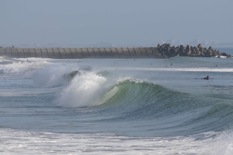 th_DSC_0728
