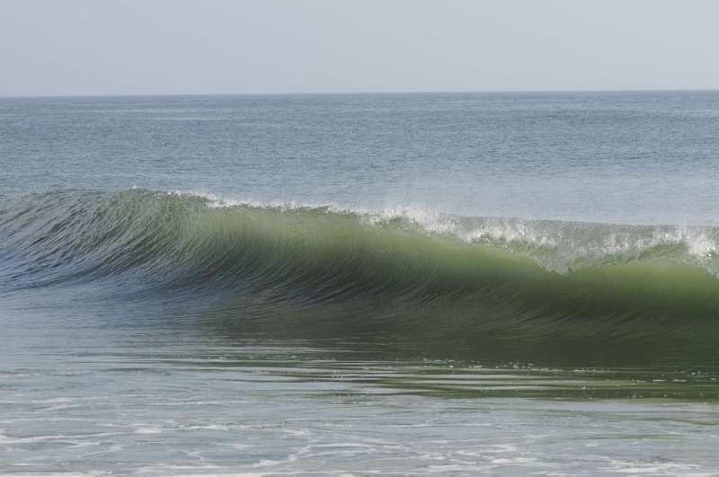 th_DSC_0730