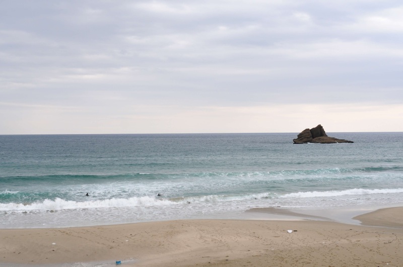 th_DSC_7021