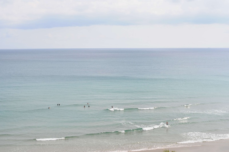 th_DSC_8249