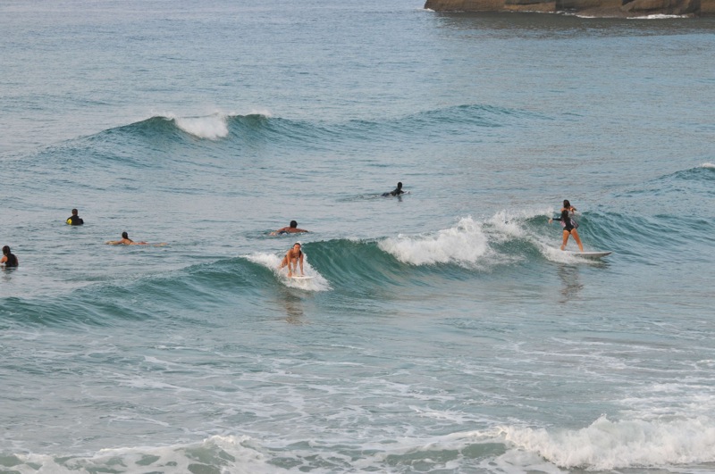 th_DSC_8648