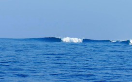 bali_wave