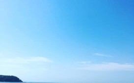 waka☆＝のウラナミ画像