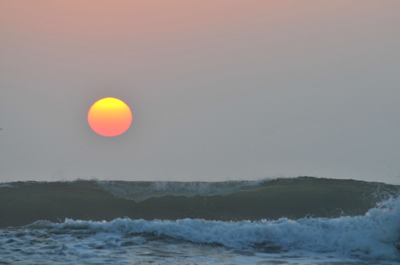 th_DSC_1396