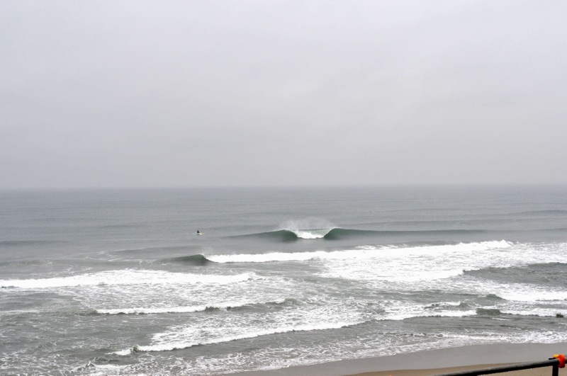 th_DSC_6060