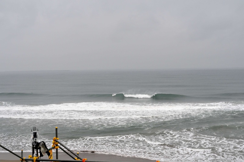 th_DSC_6065