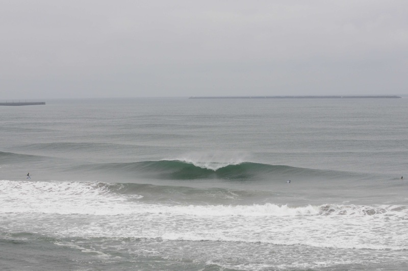 th_DSC_7698
