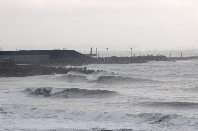 th_DSC_7846