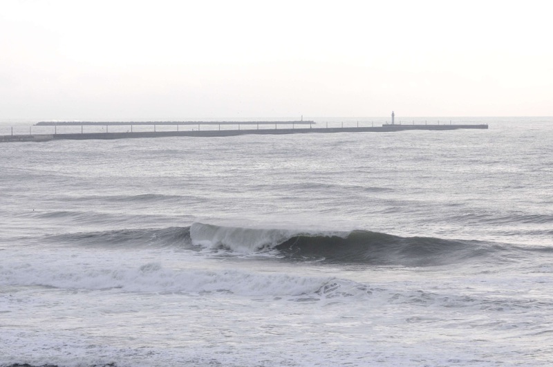 th_DSC_7849