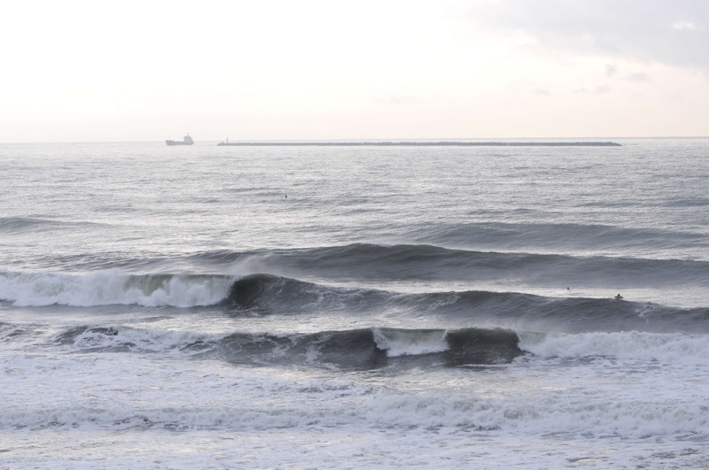 th_DSC_7851