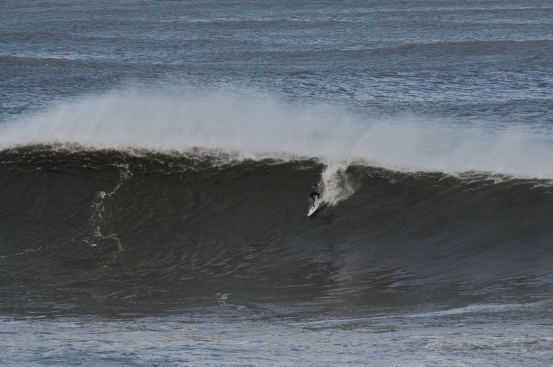 th_DSC_6798