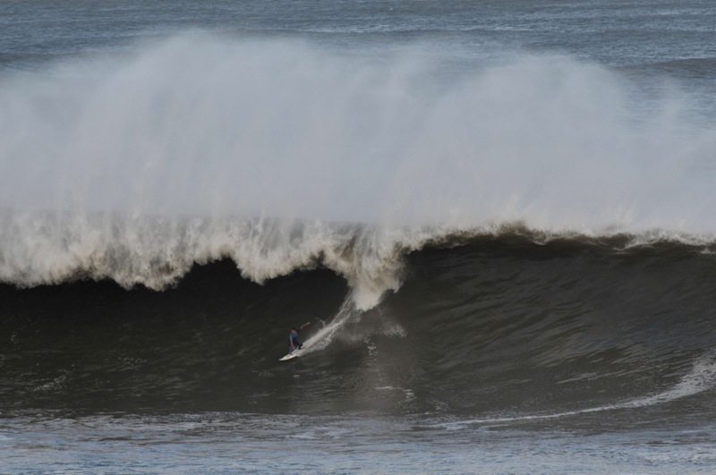 th_DSC_6800