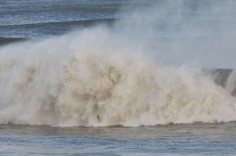 th_DSC_6803