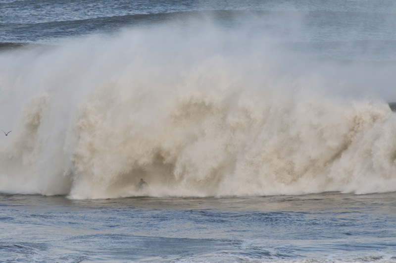 th_DSC_6804