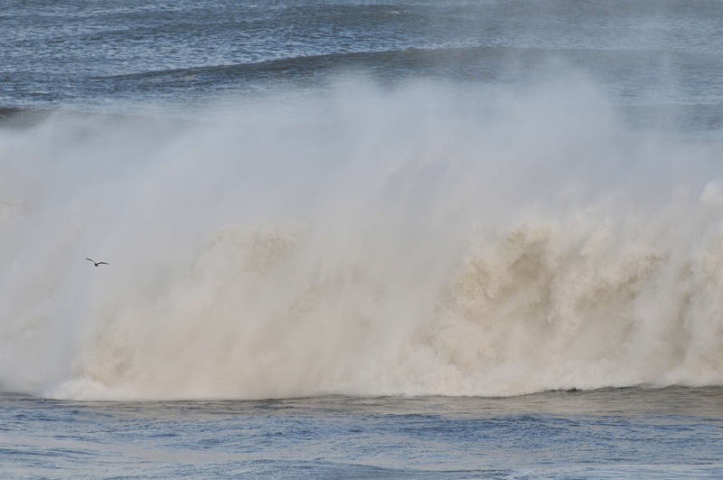 th_DSC_6805