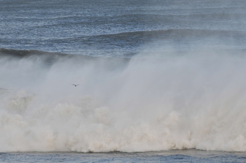 th_DSC_6806
