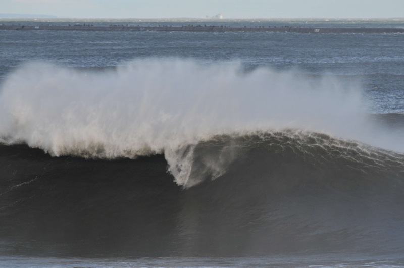 th_DSC_6824