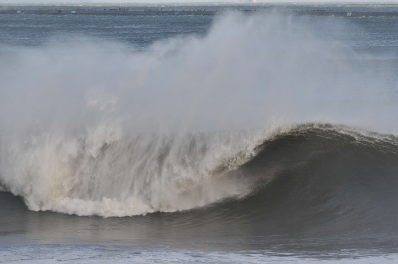 th_DSC_6826