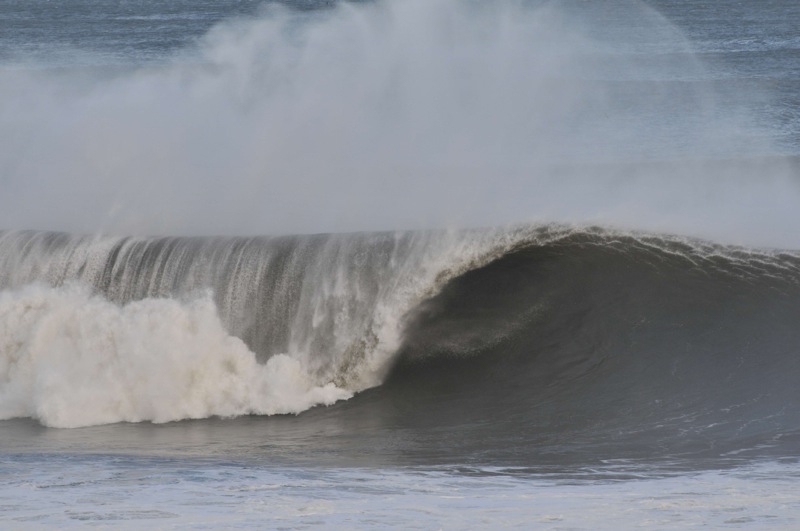 th_DSC_6827