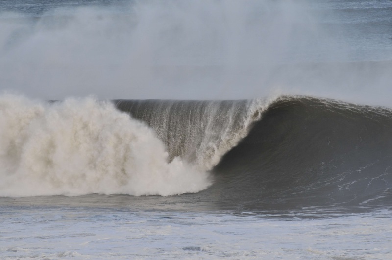 th_DSC_6828