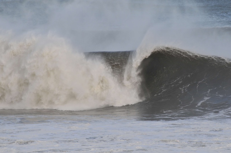 th_DSC_6829
