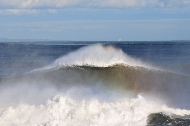 th_DSC_6908