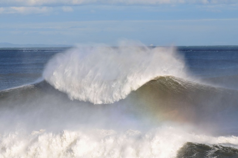 th_DSC_6910