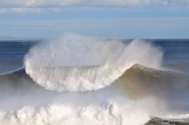 th_DSC_6911