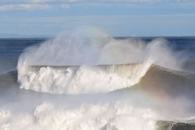 th_DSC_6912